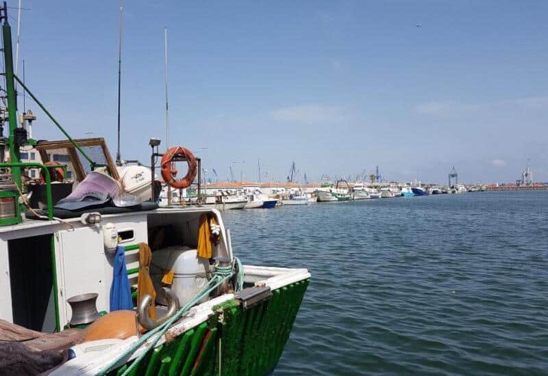 Modernizar puertos pesqueros es sostener empleo y cultura productiva