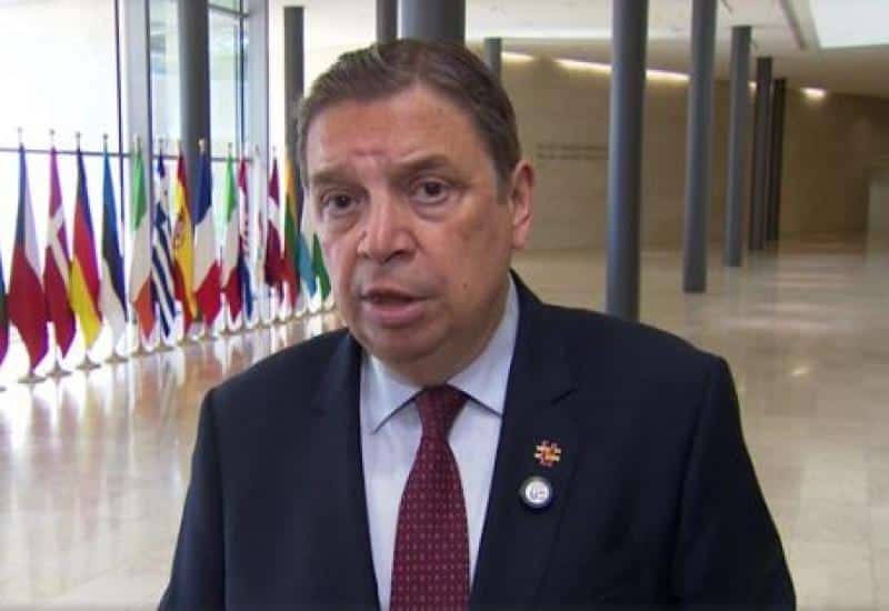 El Mediterrani no aguanta una altra gestió pesquera pensada des de lluny