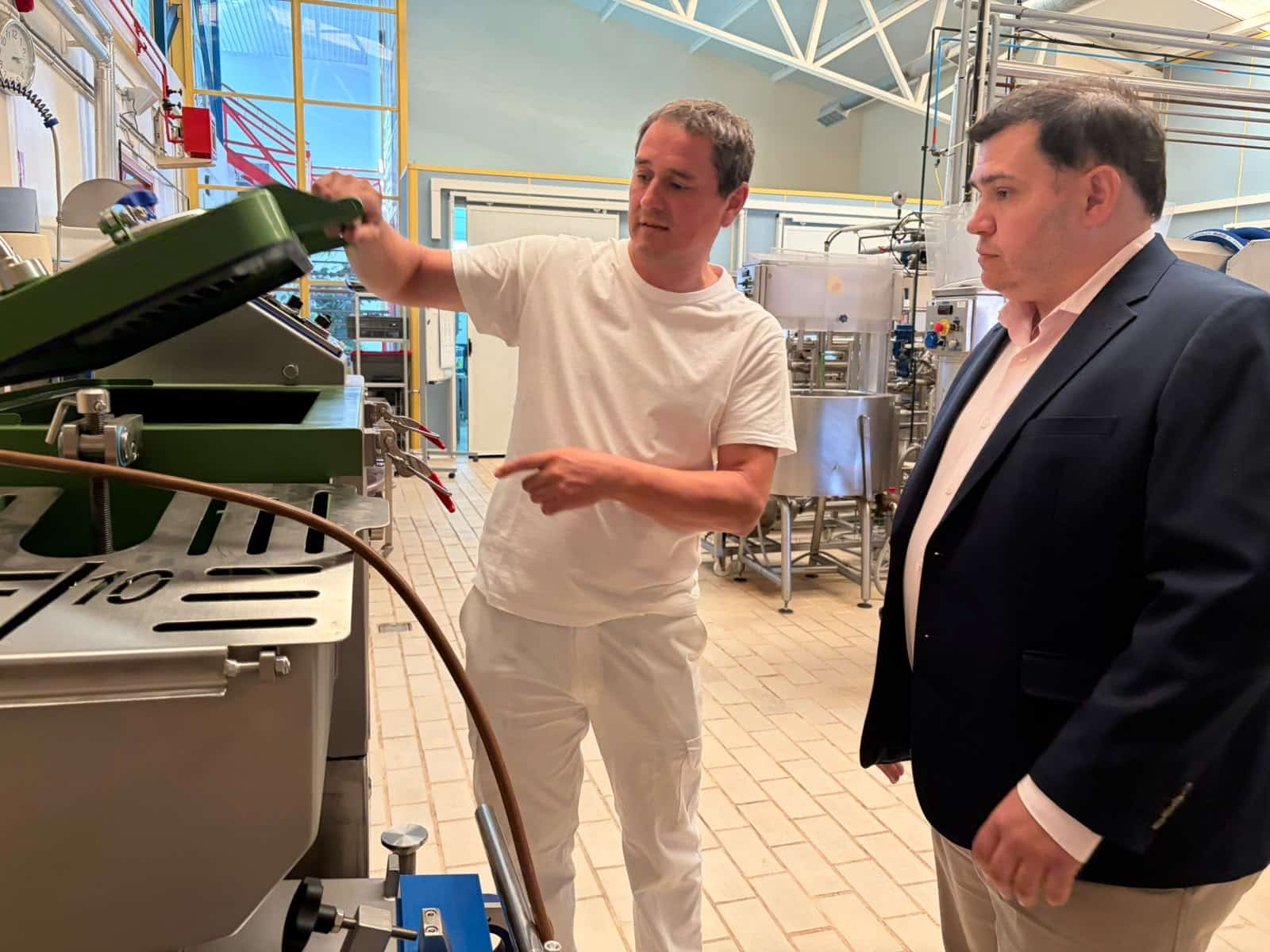 La leche de oveja necesita innovación con retorno en granja