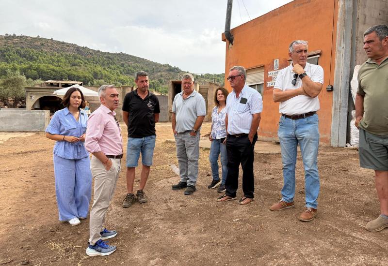 La ganadería extensiva merece ser reconocida como infraestructura ambiental