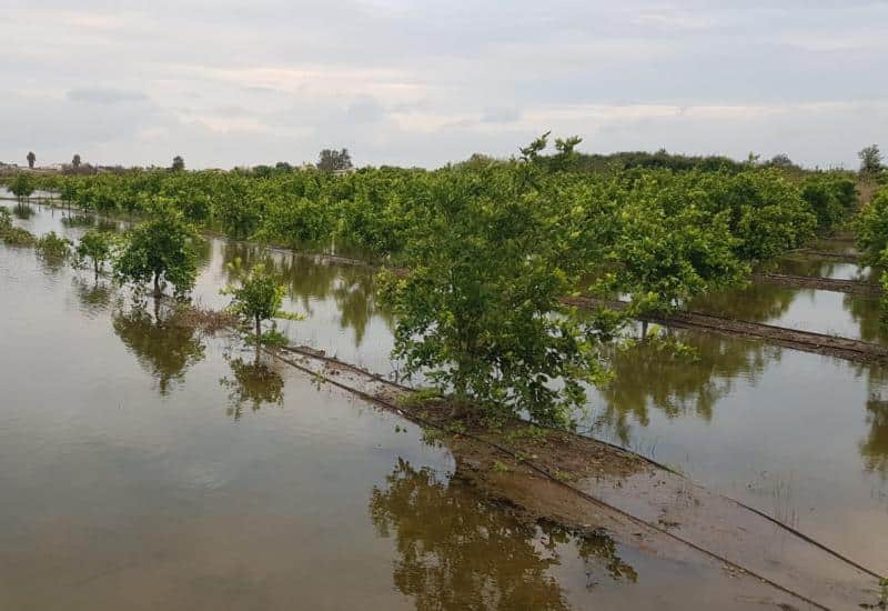 Los parques inundables no pueden diseñarse de espaldas al agricultor