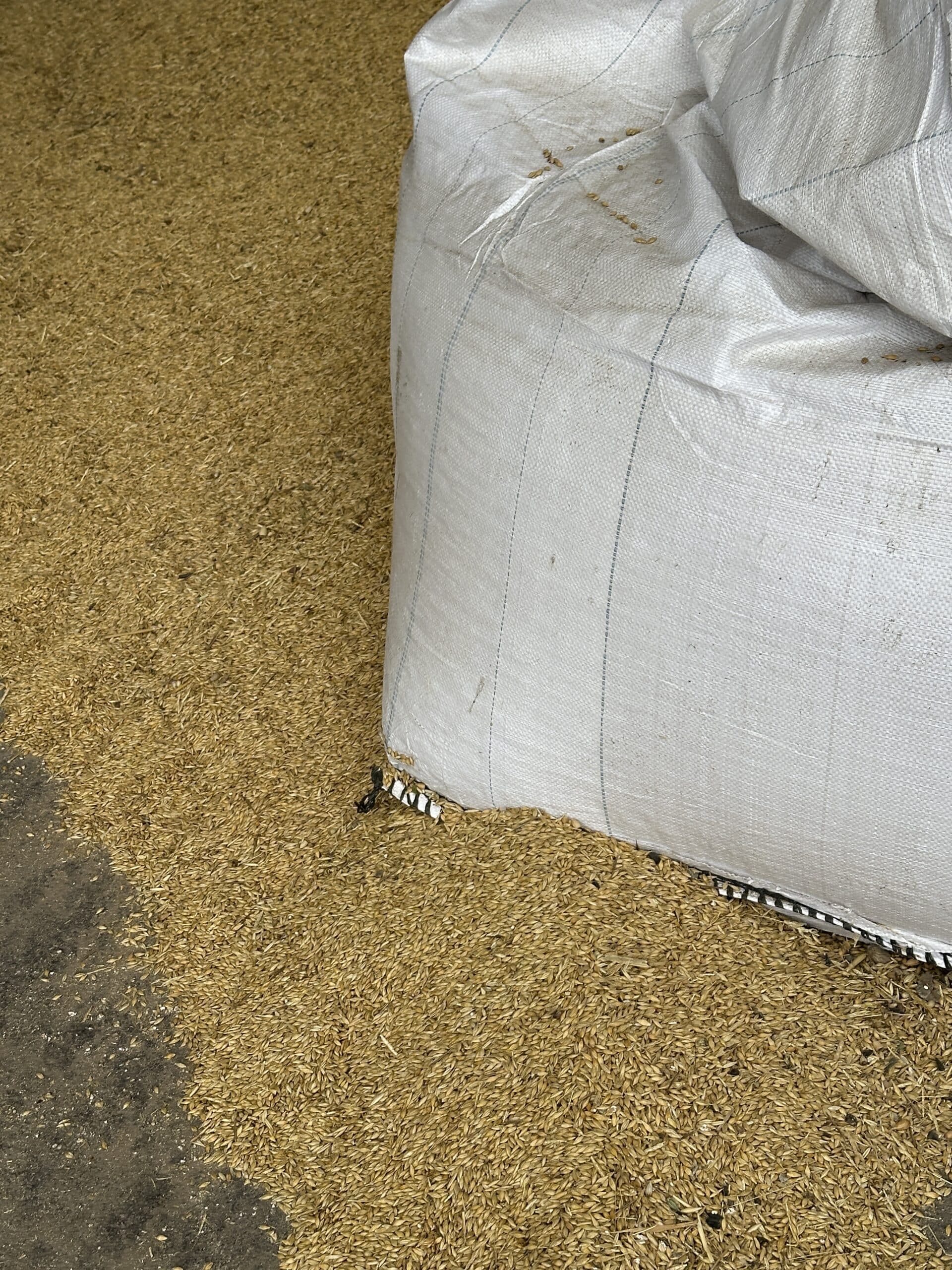 El cereal sube, pero el campo sigue atrapado en la incertidumbre