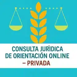 Consulta de orientación privada (sin revisión de documentos)
