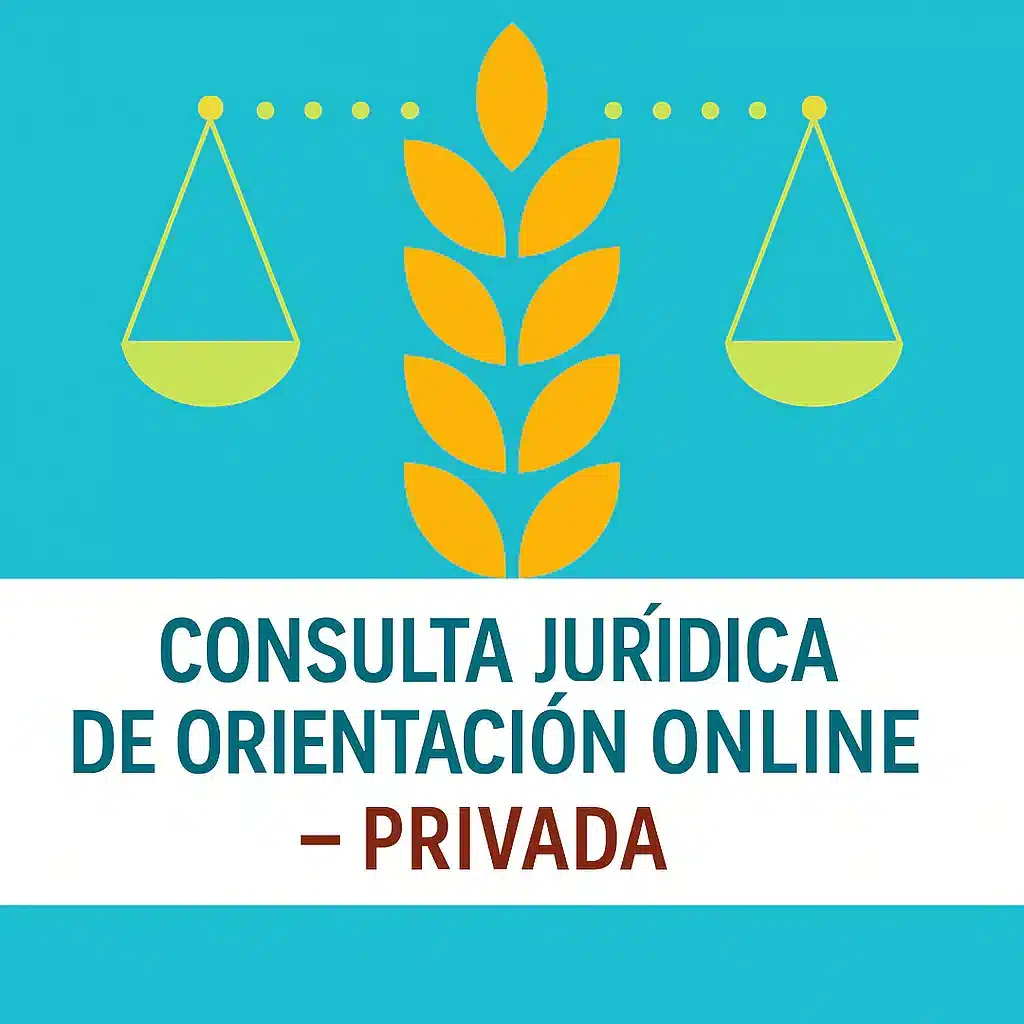 Consulta de orientación privada (sin revisión de documentos)