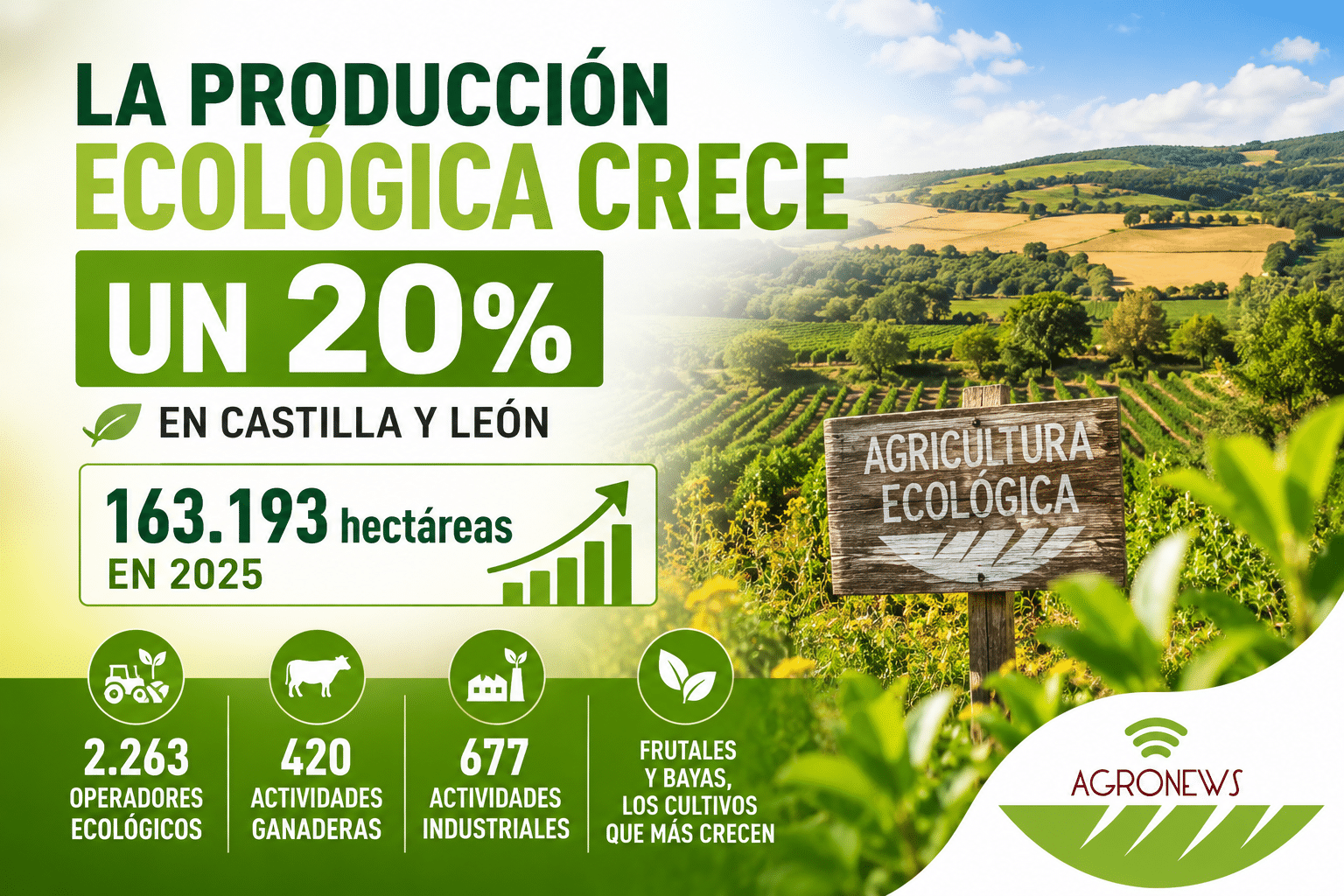 La agricultura ecológica crece, pero todavía necesita mercado